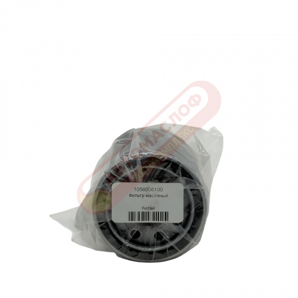 ФМ GEELY 1056006100