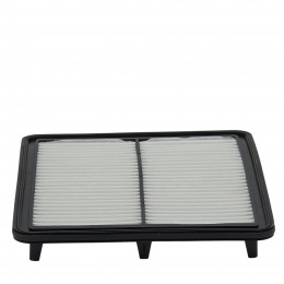 ФВ Filtron AP1825=C3033