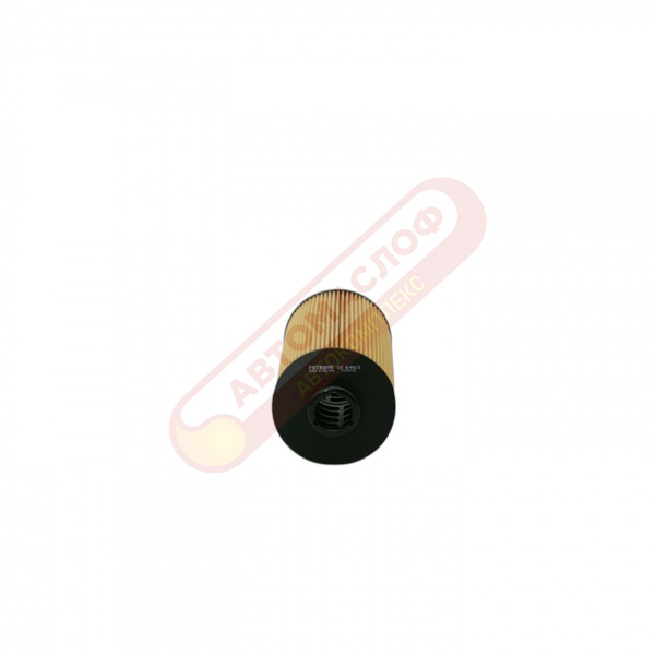 ФМ Filtron OE6493