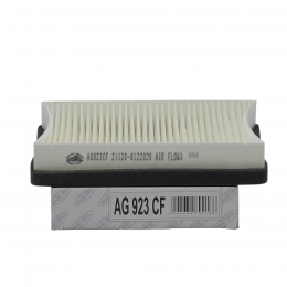 ФС GOODWILL AG923CF