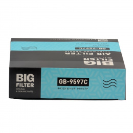 BIG FILTER GB9597C