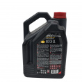 Motul 8100 Eco-clean + 5W30 (5л)